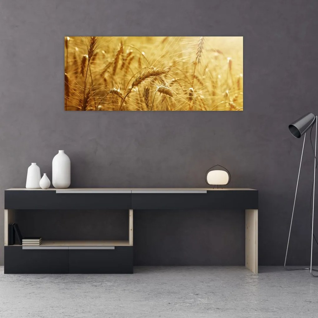Tablou - Spice de cereale (120x50 cm)