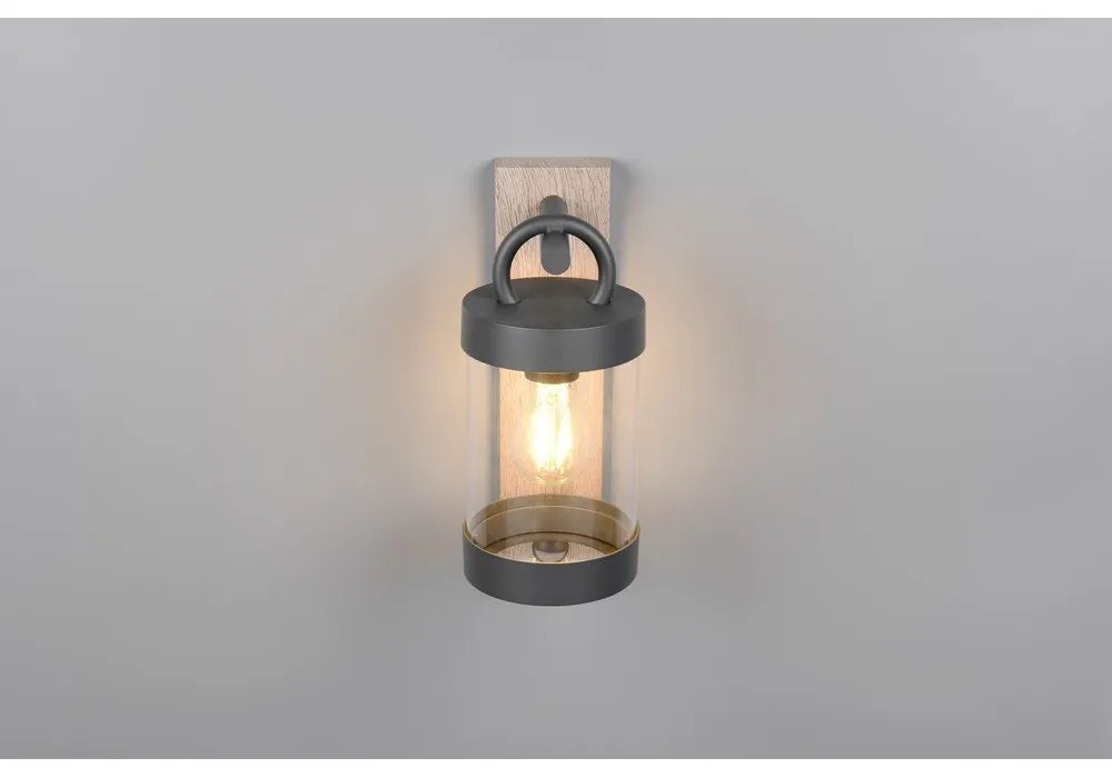 Corp de iluminat pentru exterior, de perete (înălțime 33 cm) Sambesi – Trio