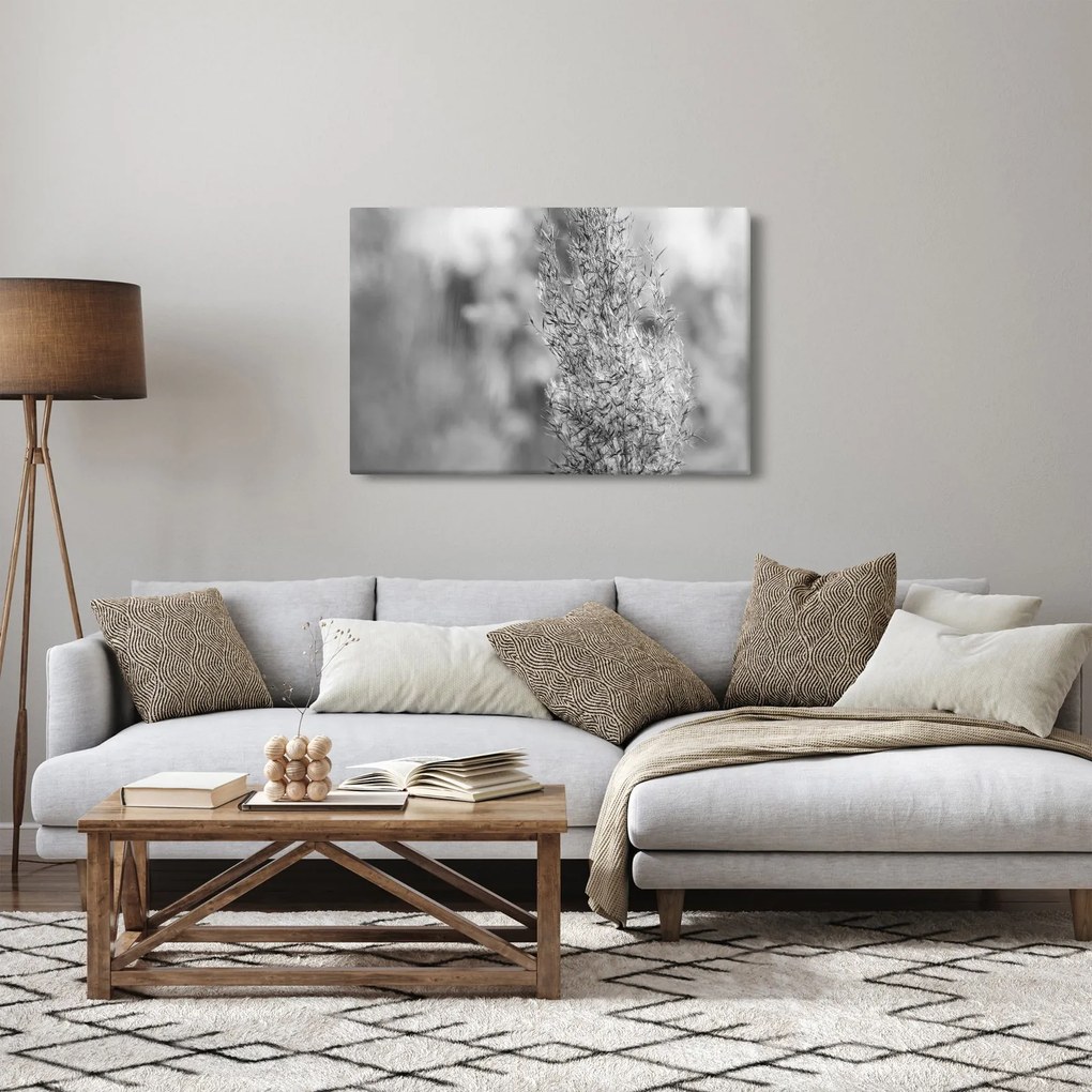 Tablou - Iarbă de pampas Boho (90x60 cm)