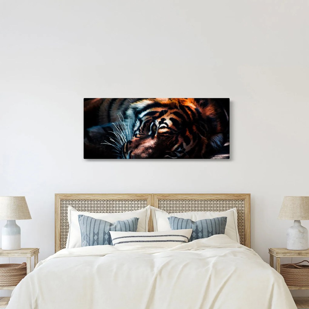 Tablou cu tigrul dormind (120x50 cm)