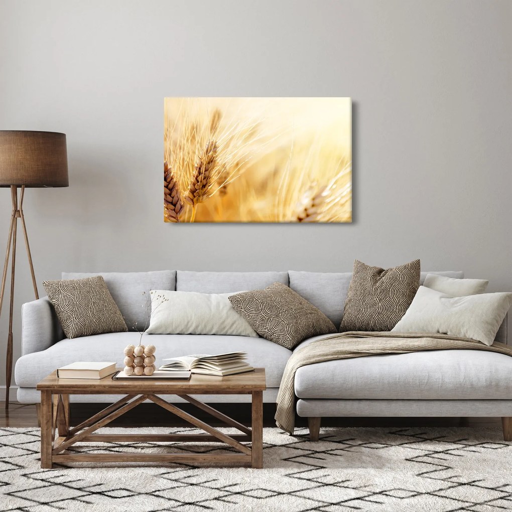 Tablou- detaliu cu (90x60 cm)