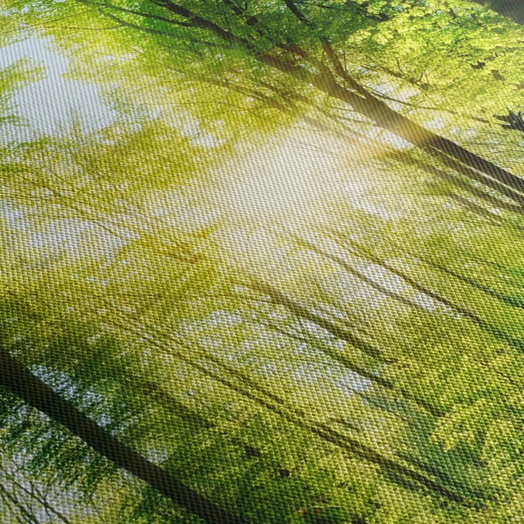Tablou - Răsărit în pădure (90x60 cm)