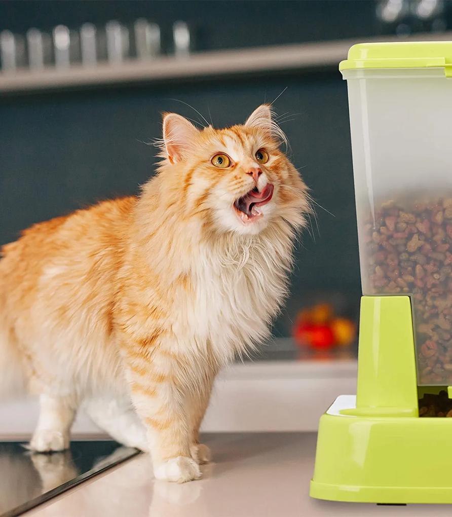 Hranitor automat pisici si caini Cu sticla Plastic Alb 345 x 275 x 34 cm