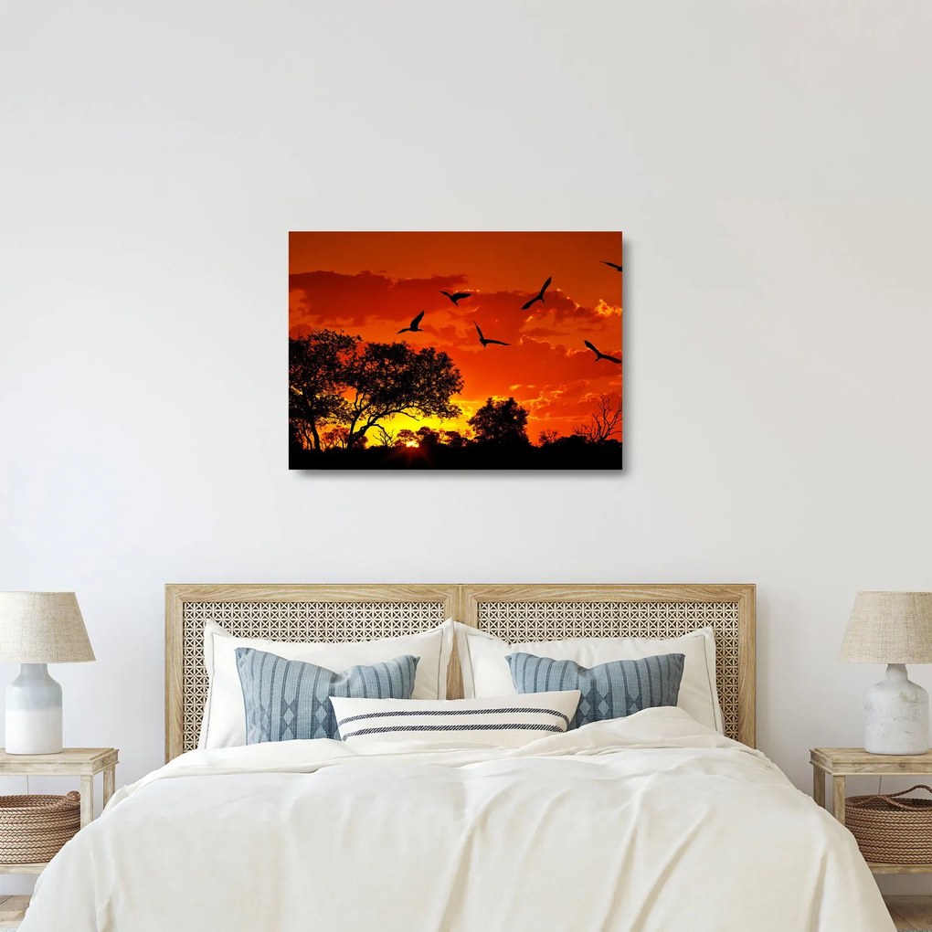 Tablou pe sticlă cu păsări în apus de soare (70x50 cm)