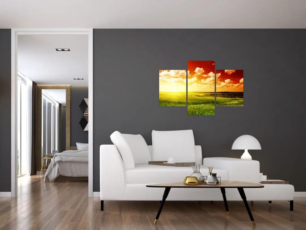 Tablou cu luncă cu soarele strălucitor (90x60 cm)