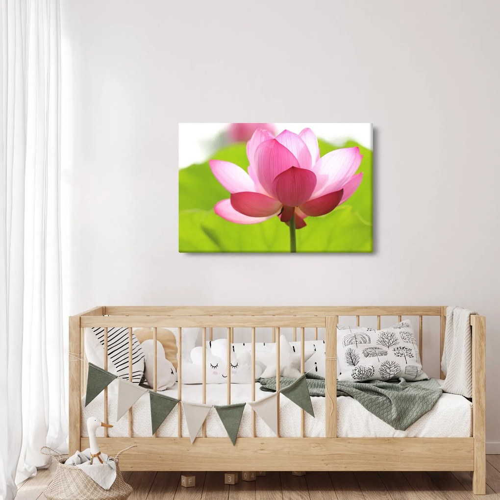 Tablou cu flori de lotus (90x60 cm)