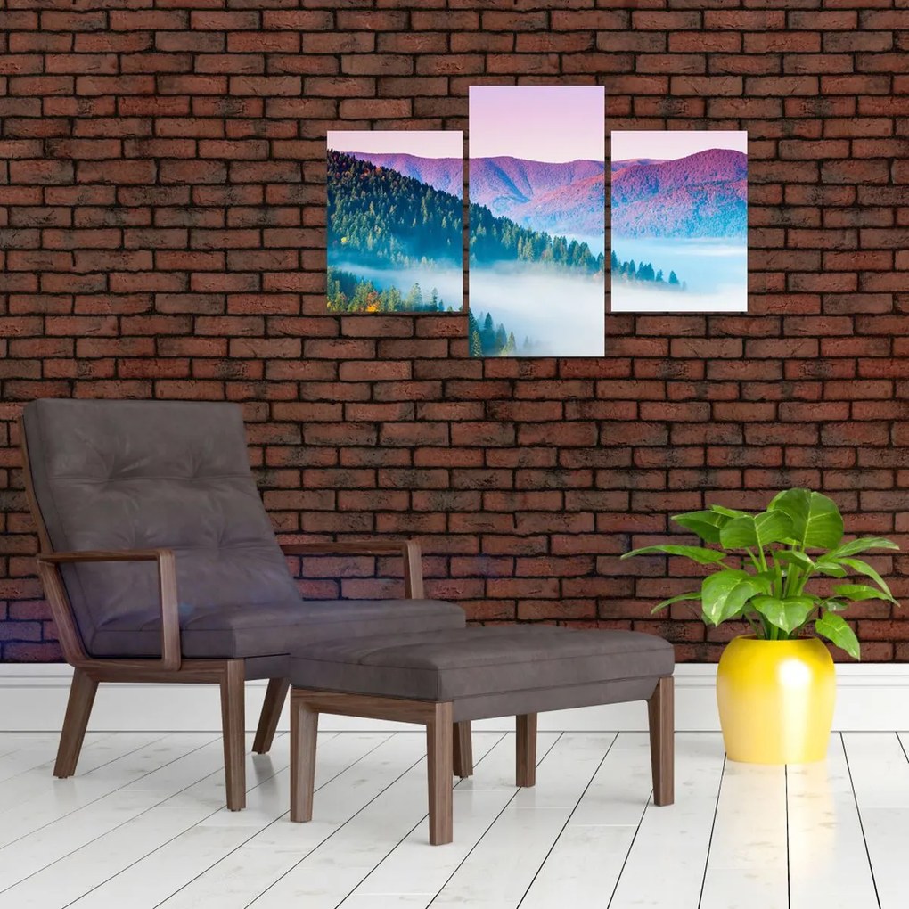 Tablou - Panoramă 2 (90x60 cm)