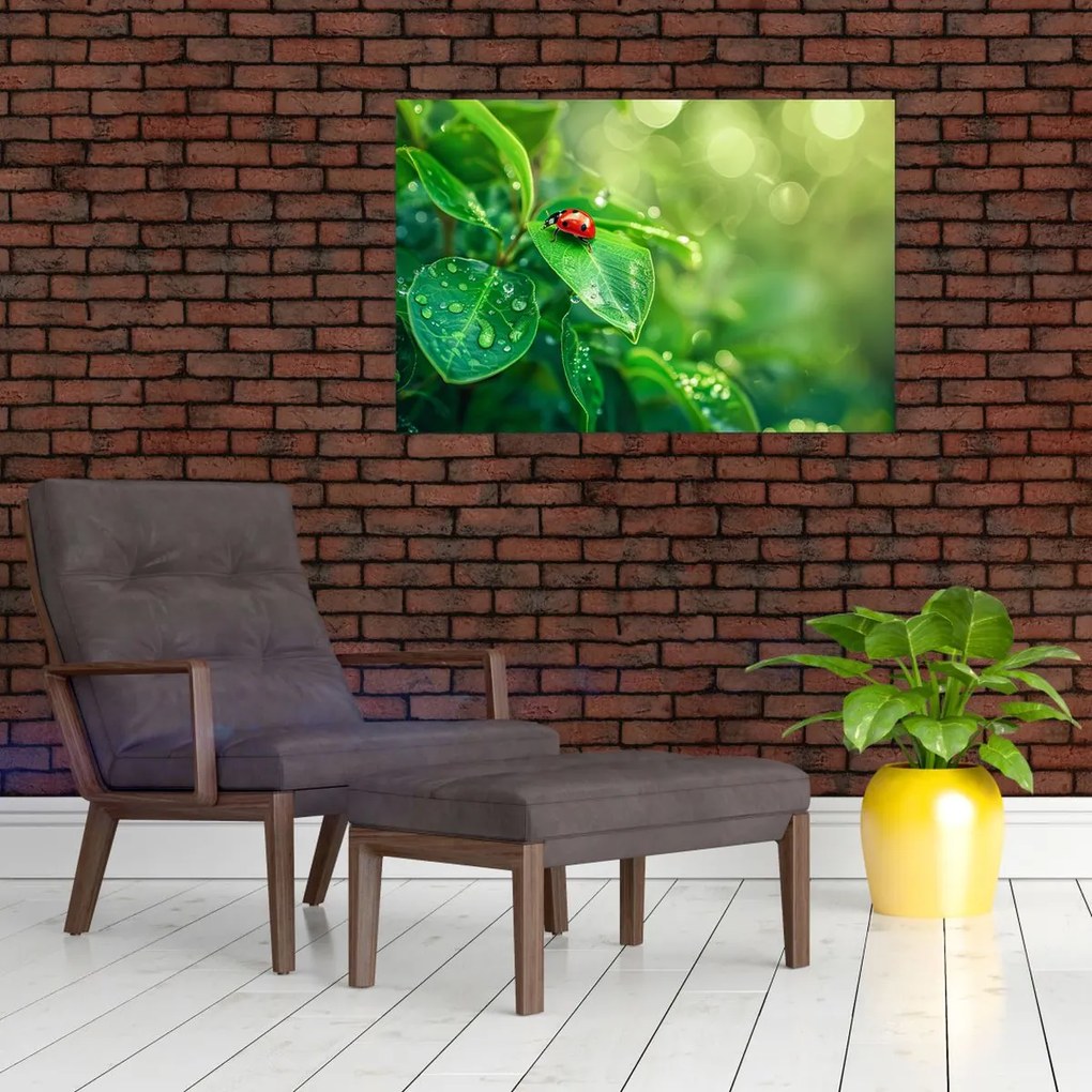 Tablou - Buburuza (90x60 cm)