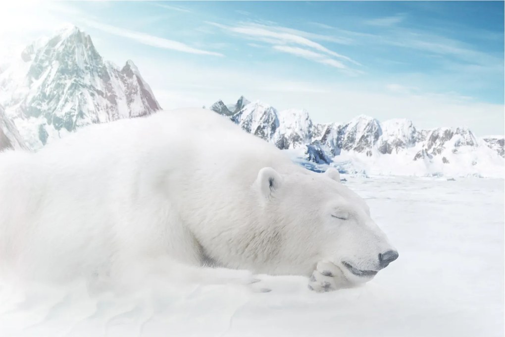Tablou - Urs polar (90x60 cm)