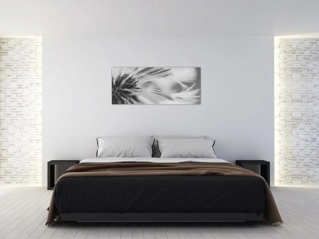 Tablou - Păpădie (120x50 cm)
