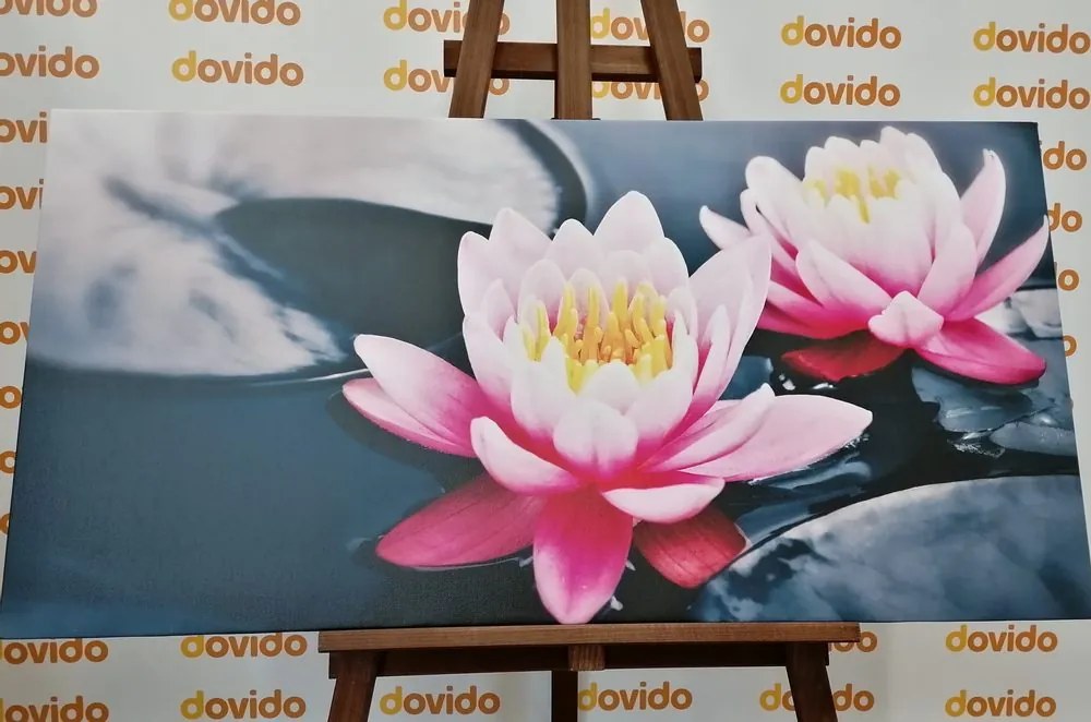 Tablou floare de lotus pe lac