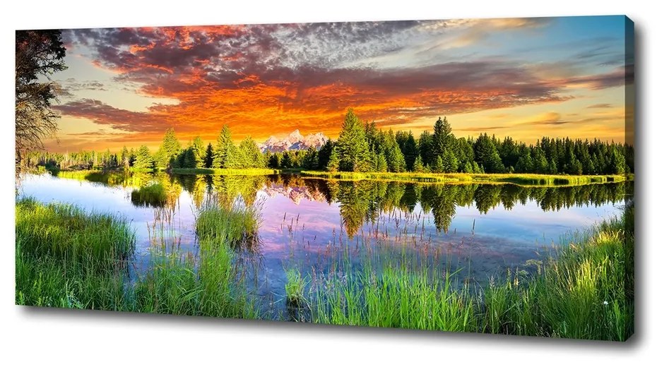 Tablou canvas Râul în pădure