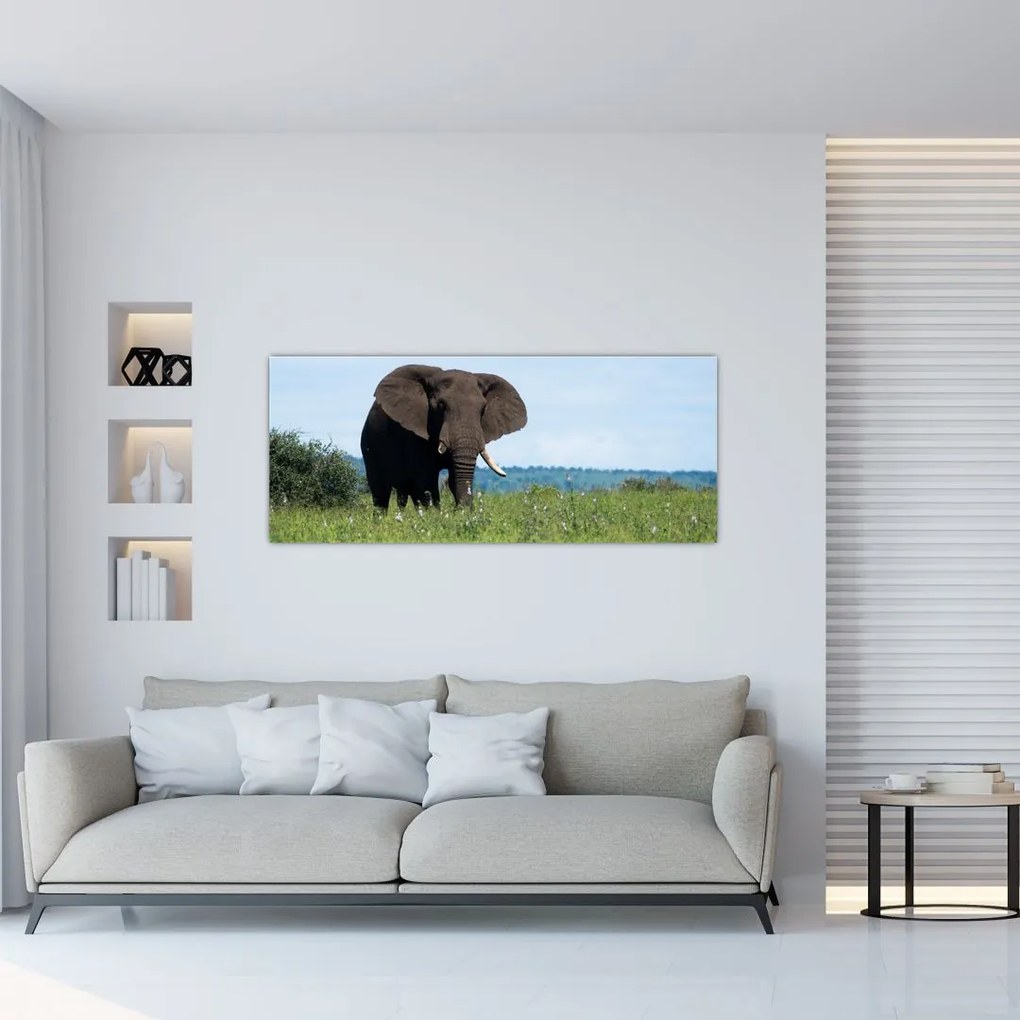 Tablou cu elefant (120x50 cm)