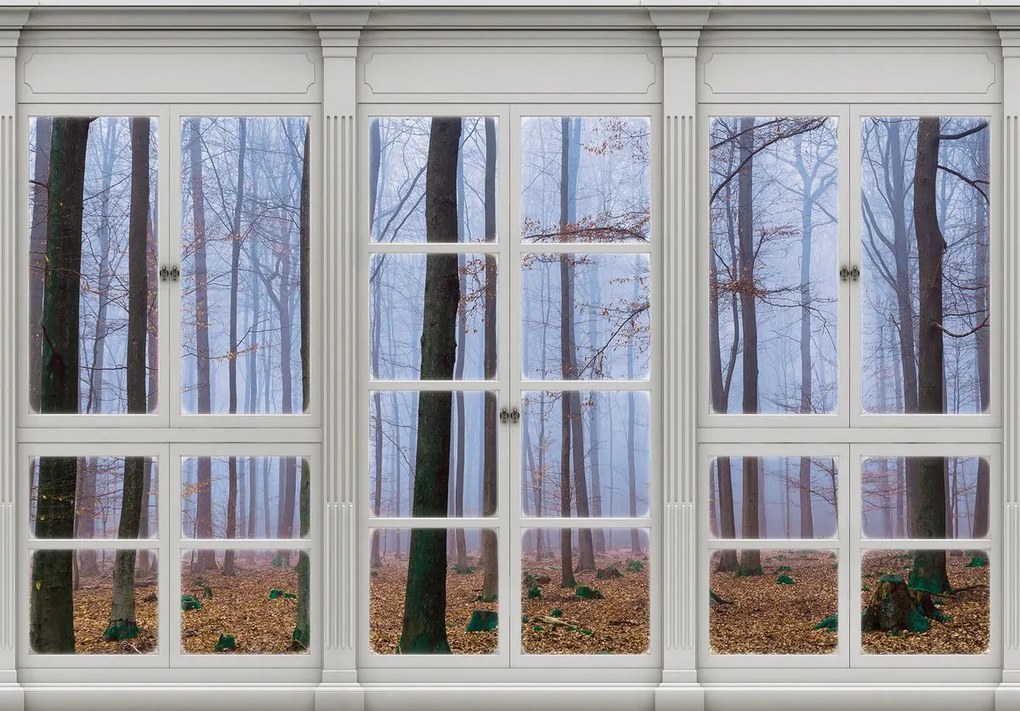 Fototapet - Privire din geam scufundat în ceață (152,5x104 cm)