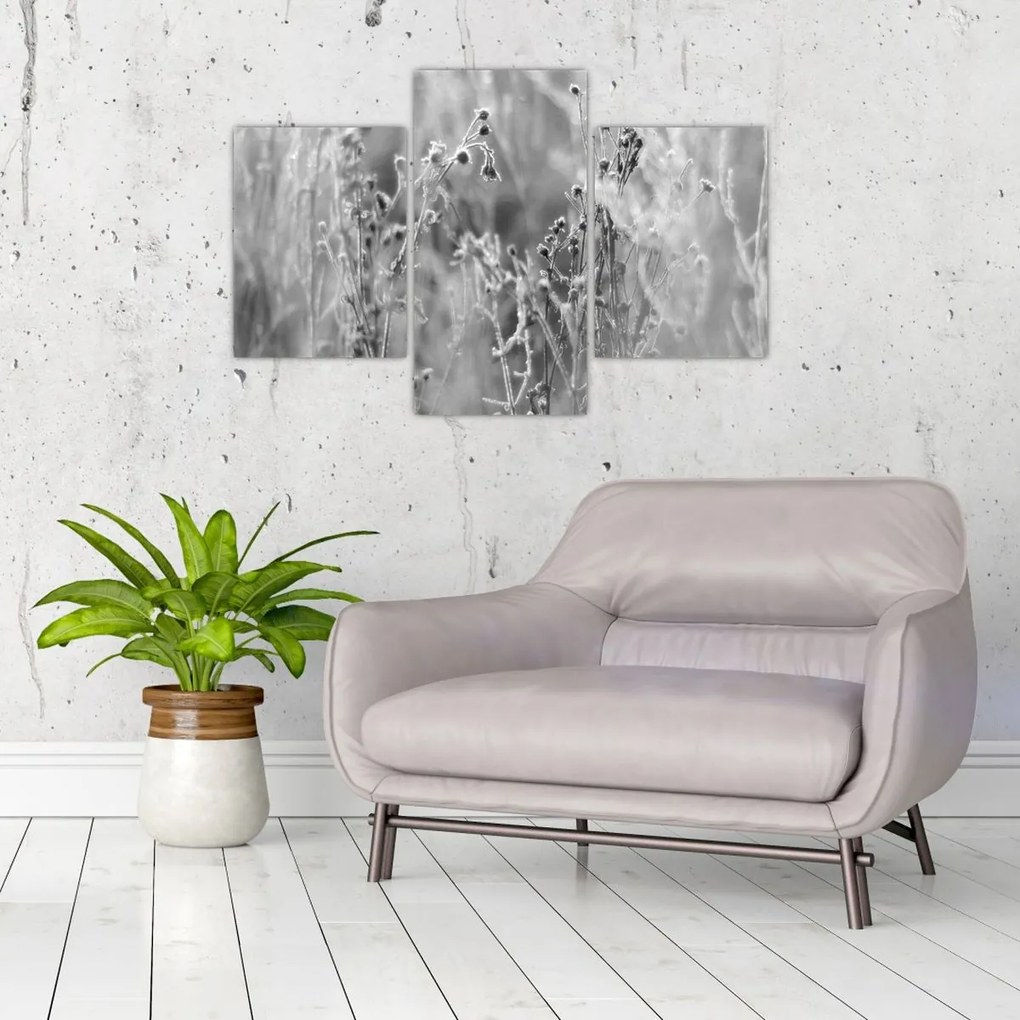 Tablou - Pajiște sălbatică (90x60 cm)