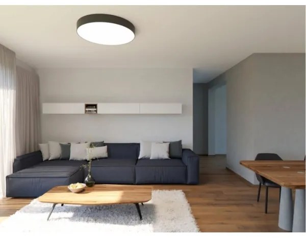 Plafonieră LED LED2 MONO LED/60W/230V 3000/4000K negru