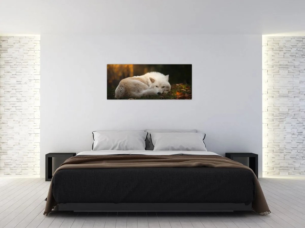 Tablou - Lupul care se odihnește (120x50 cm)