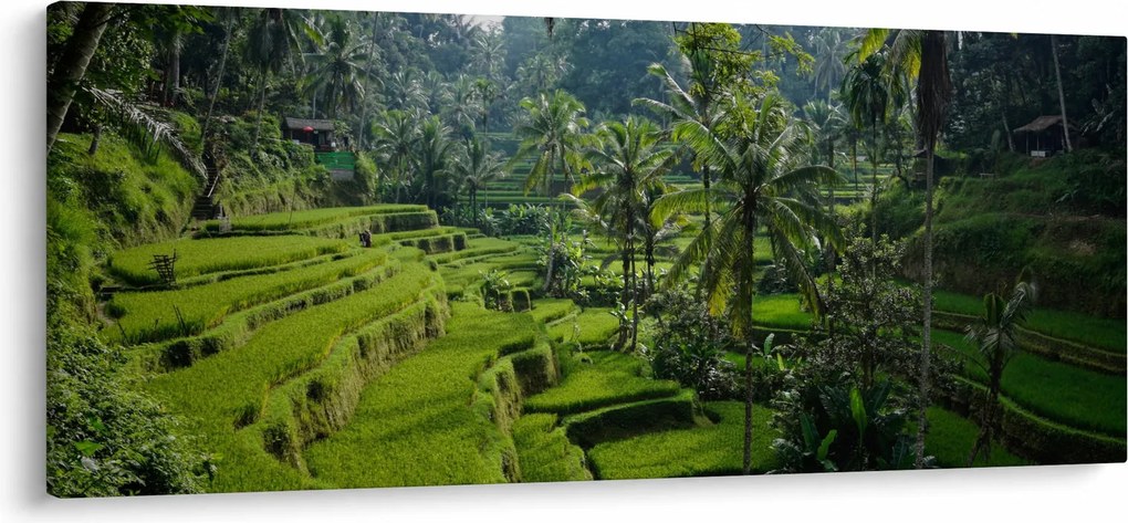 Tablou cu terasele cu orez Tegalalang, Bali (120x50 cm)