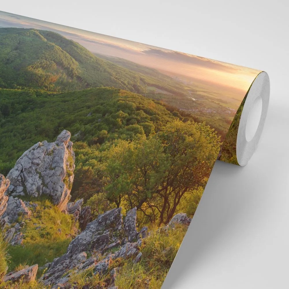 Fototapet autoadeziv natura scăldată în soare