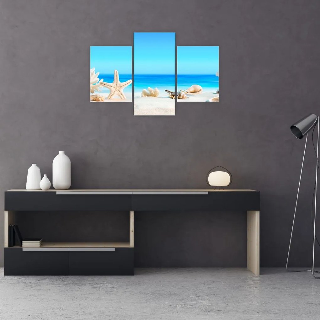 Tablou - Natura morta cu scoici (90x60 cm)