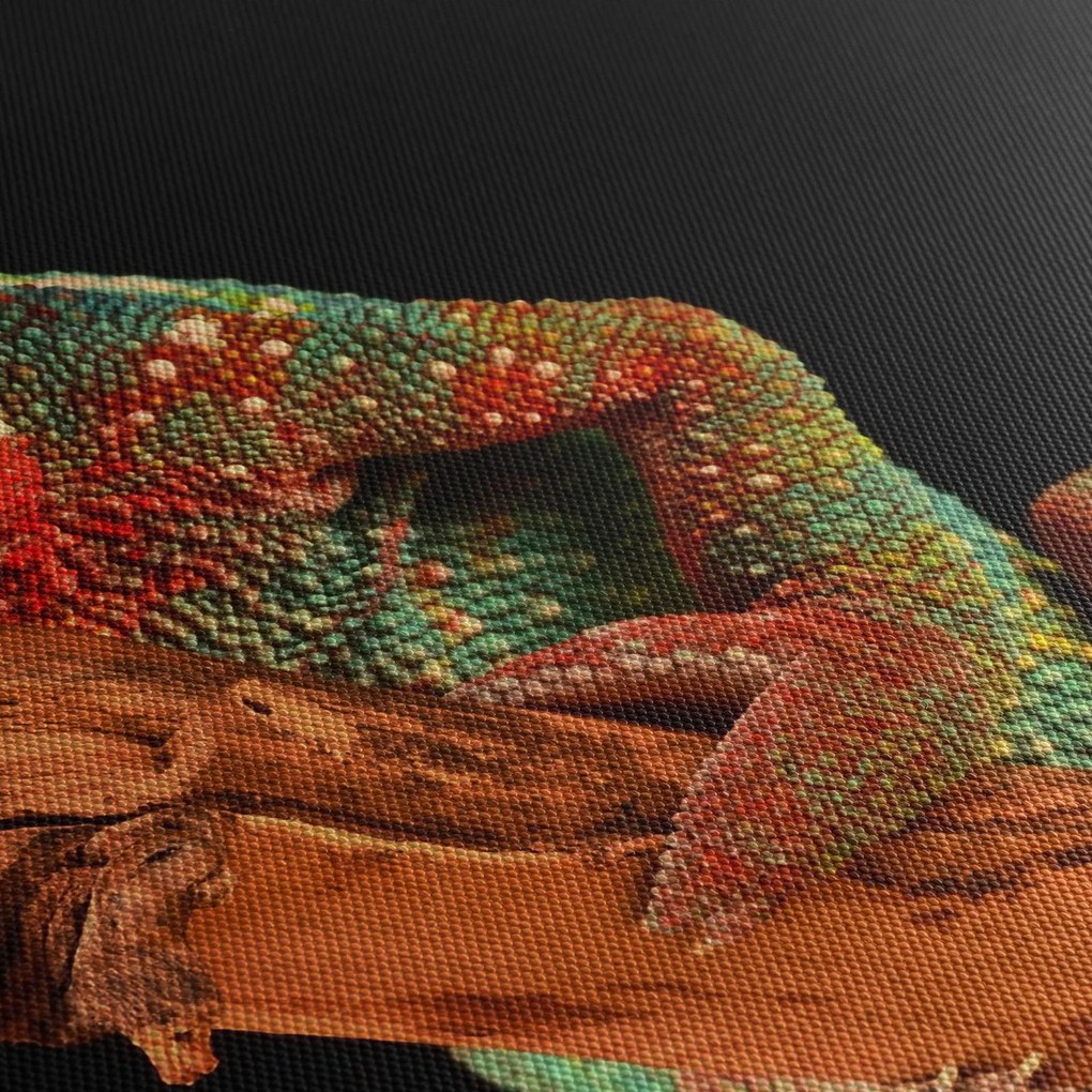 Tablou cu cameleon pe creangă (70x50 cm)