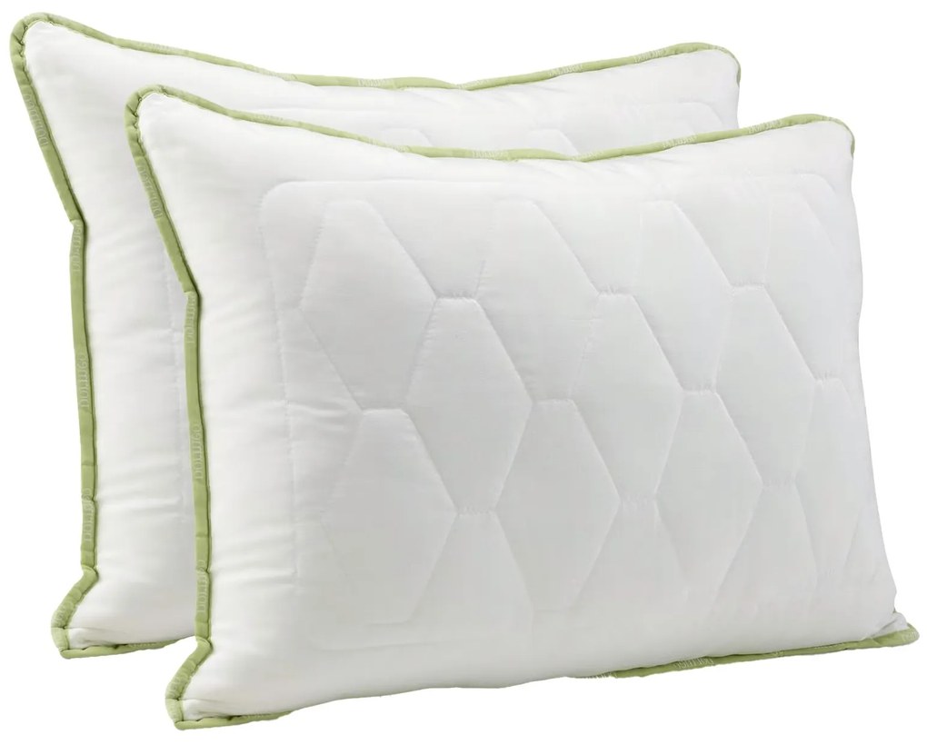 2xDormeo perna clasica Aloe Vera 50X70 cm