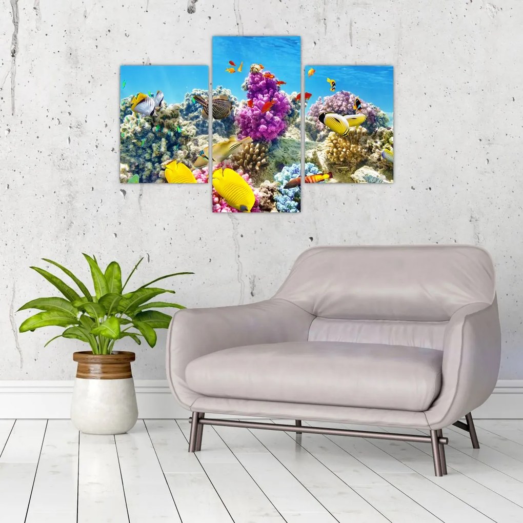 Tablou - Lumea mării (90x60 cm)