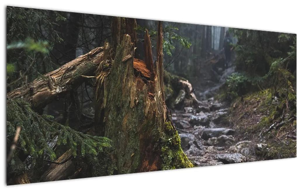 Tablou - În pădure (120x50 cm), în 40 de alte dimensiuni noi