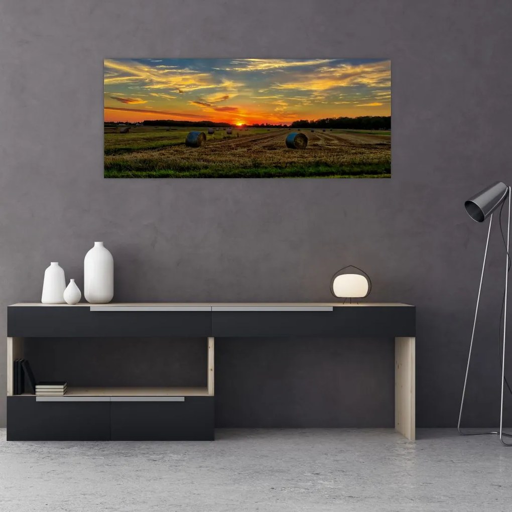 Tablou - Baloți din sat (120x50 cm)
