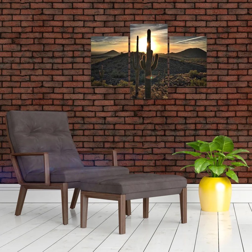Tablou - cactușii la soare (90x60 cm)