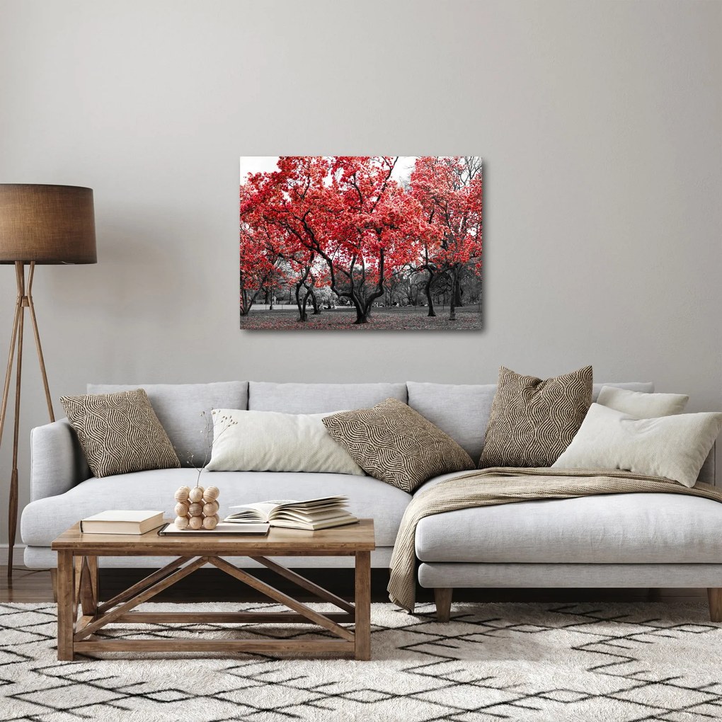 Tablou - Copacii roșii, Central Park, New York (70x50 cm)