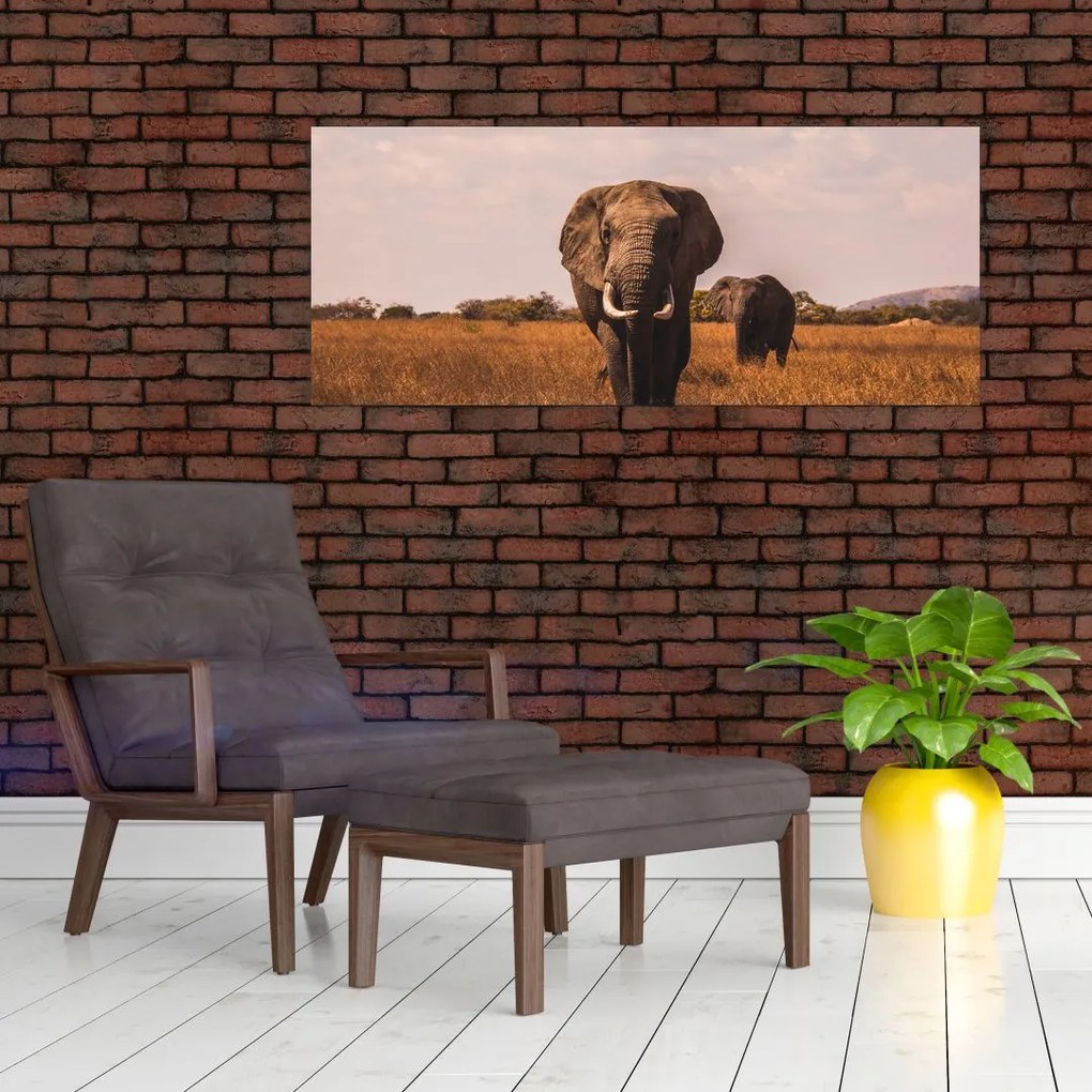 Tablou - Venirea elefantului (120x50 cm)
