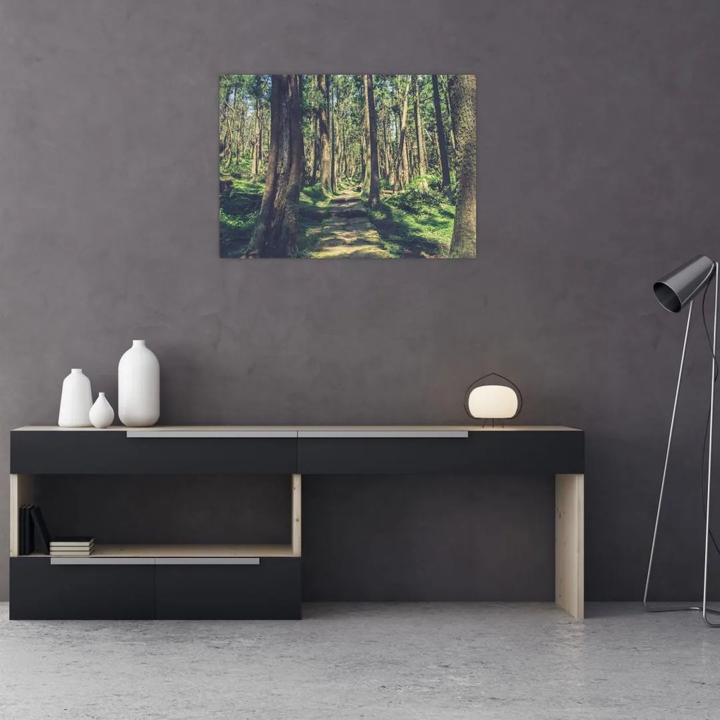 Tablou pe sticlă cu drum între copaci (70x50 cm)