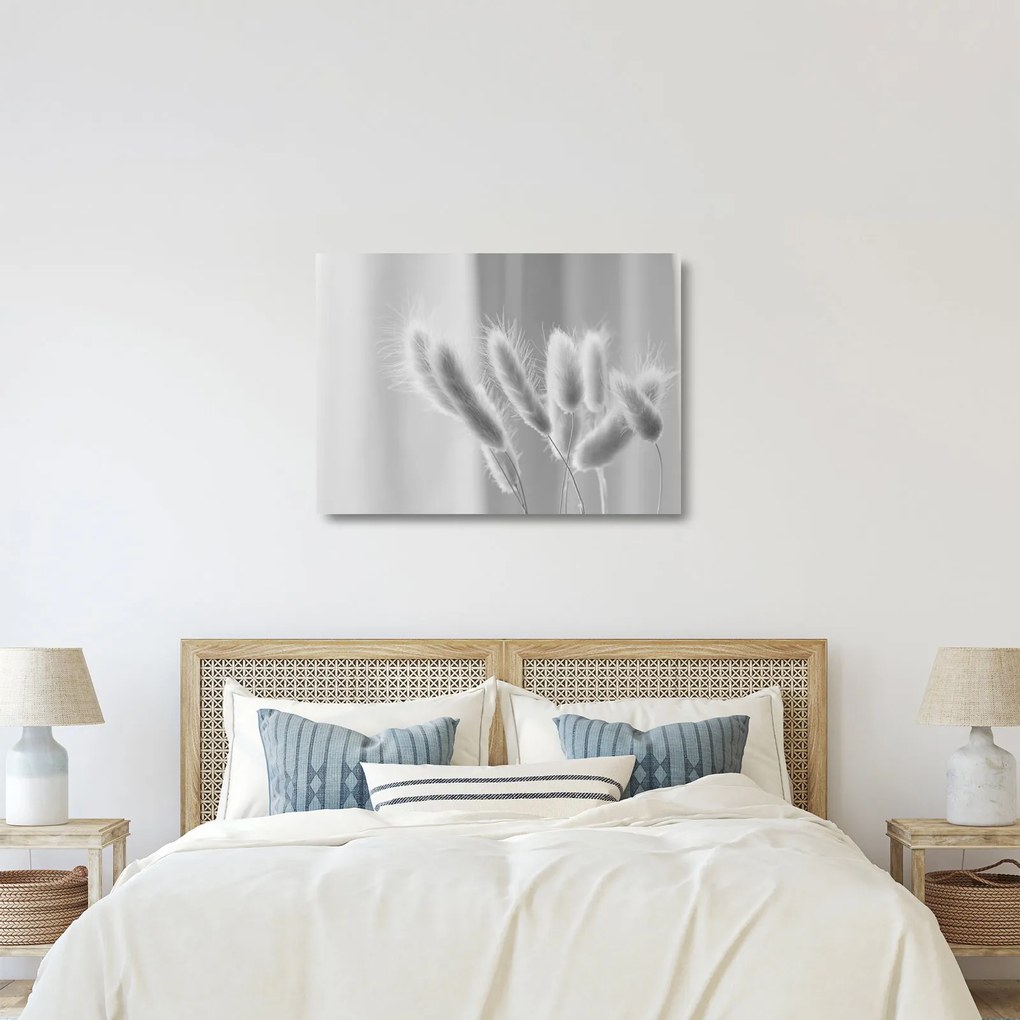 Tablou pe sticlă - Iarbă de coadă de iepure (70x50 cm)
