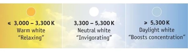 Paulmann 70624 - Bandă LED MAXLED 3m 20W reglabilă 230V cu DO