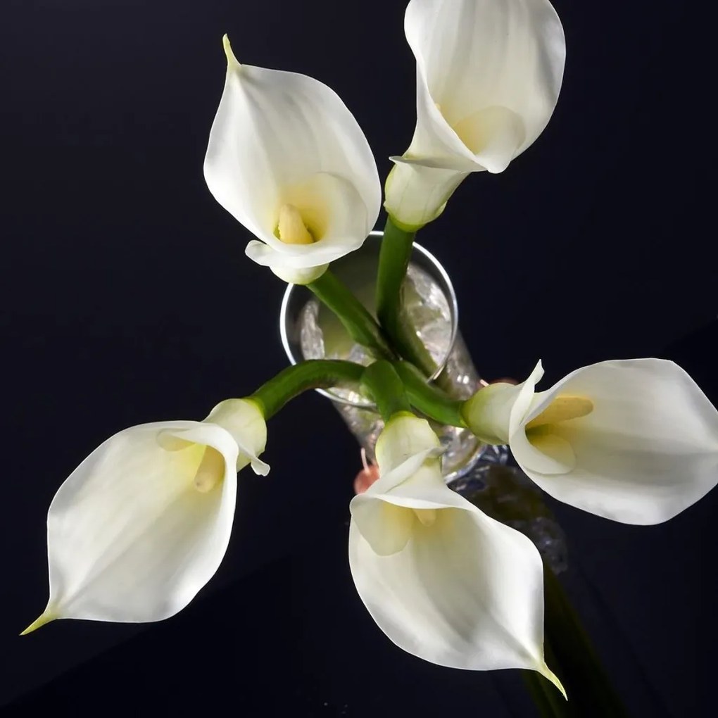 Aranjament floral elegant CALLA SMALL 1141178.95