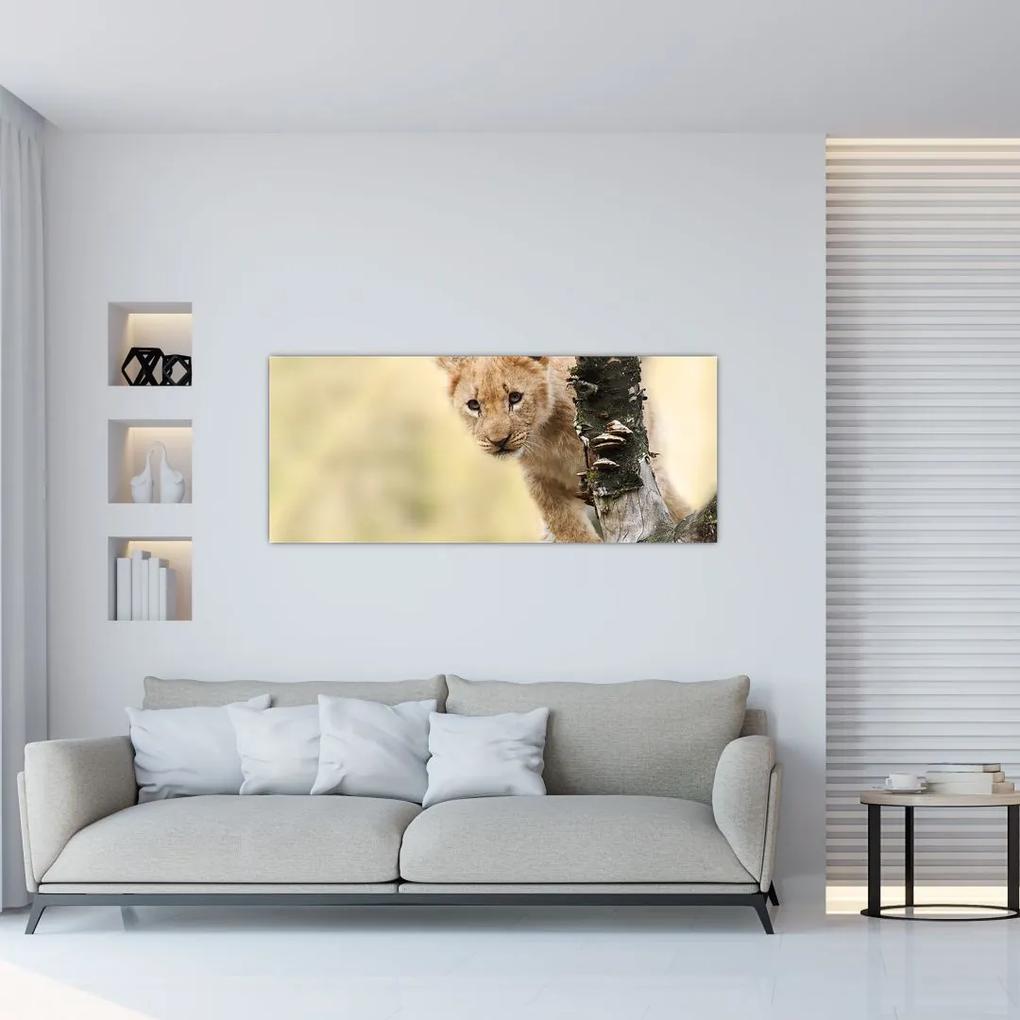 Tablou cu pui de leu (120x50 cm), în 40 de alte dimensiuni noi