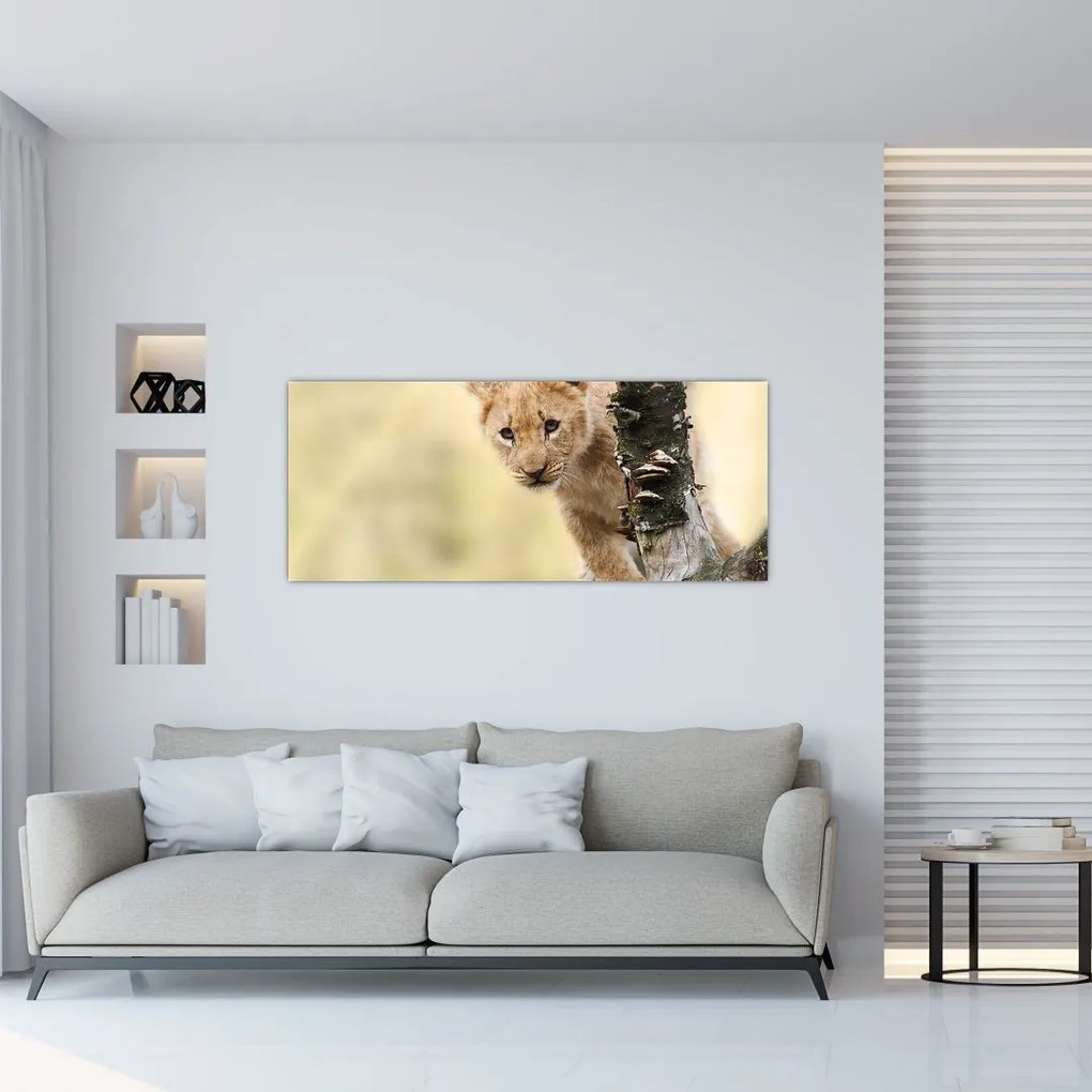 Tablou cu pui de leu (120x50 cm)