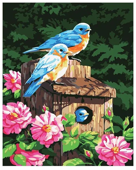 Pictura pe numere cu un cadru "Păsări" 50x40 cm