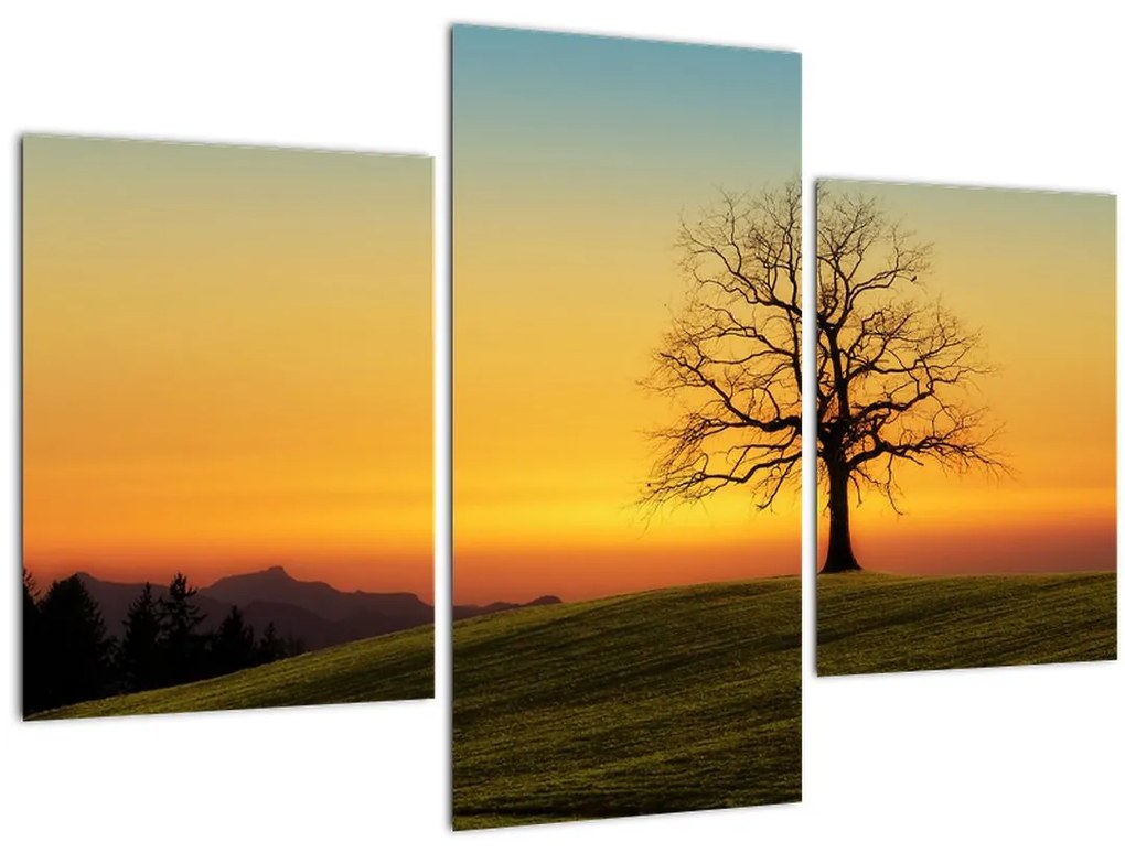 Tablou - Copacul în câmp (90x60 cm)
