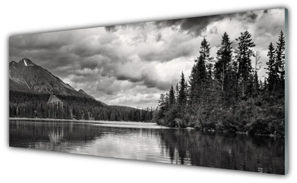 Tablouri acrilice Mountain Forest Lake Nature Gray