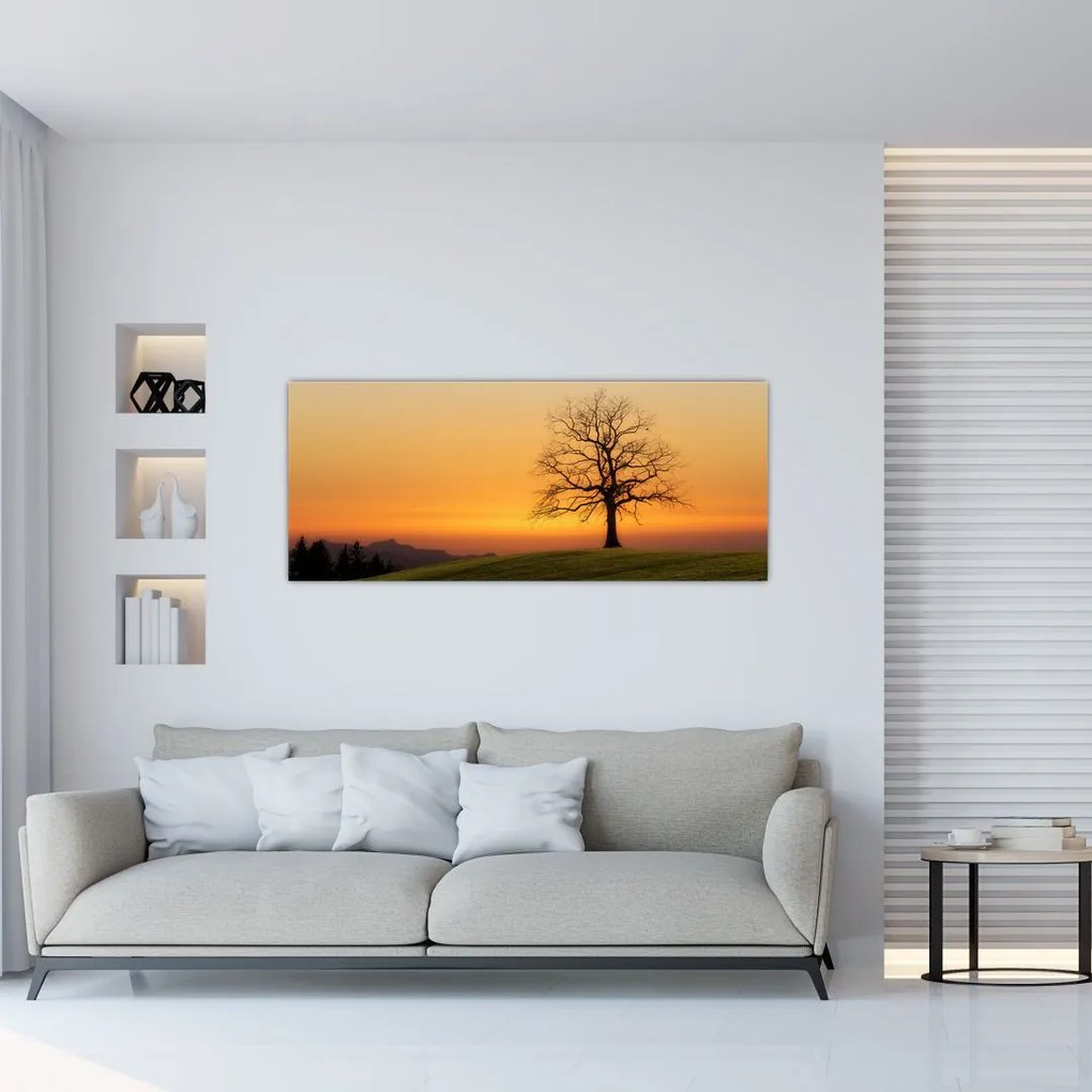 Tablou cu apus de soare pe o luncă (120x50 cm)