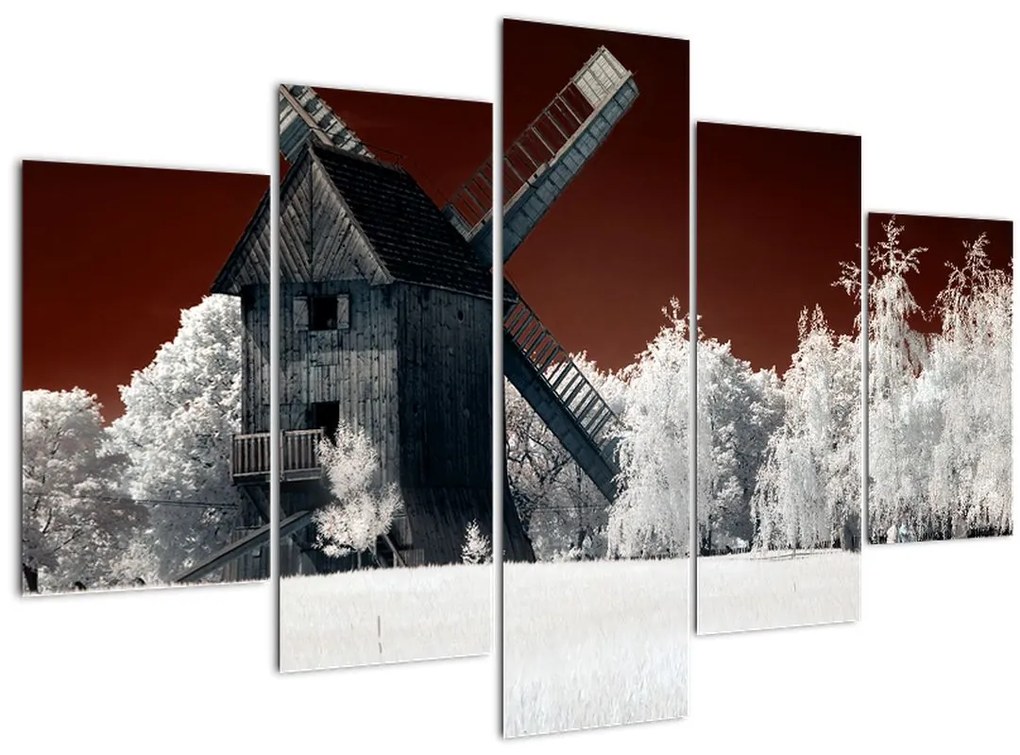 Tablou cu moară (150x105 cm)