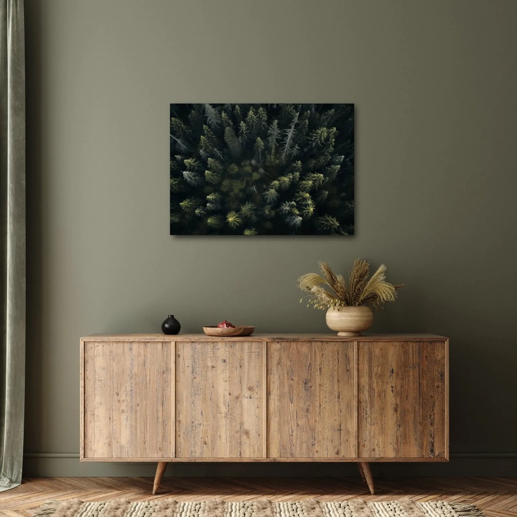 Tablou - Pădure (70x50 cm)