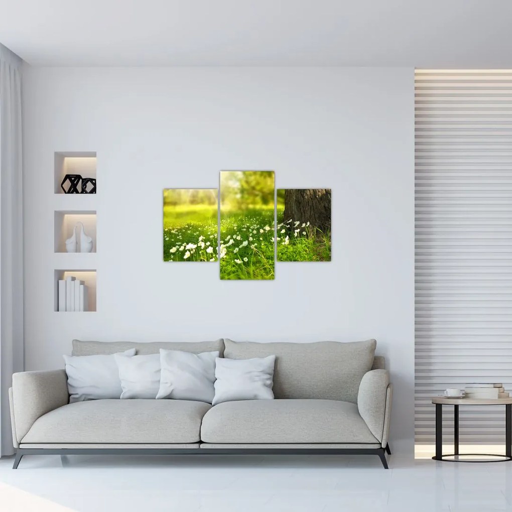 Tablou cu poiana și flori (90x60 cm)