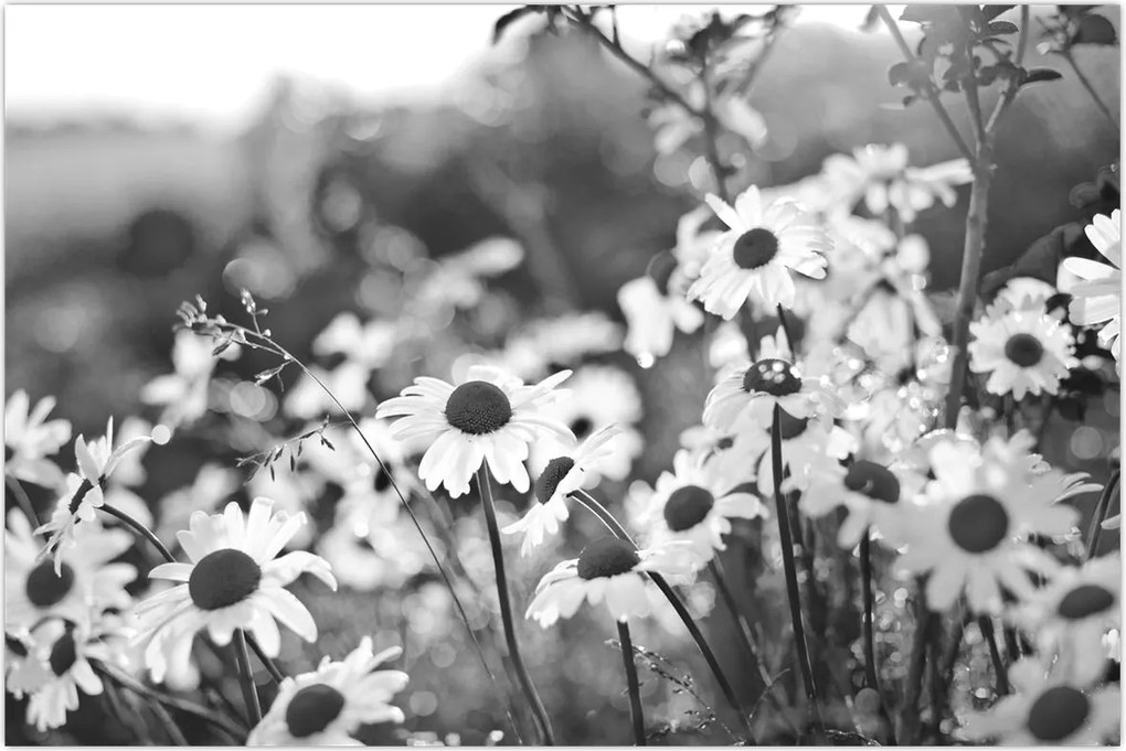 Tablou - Margarete (90x60 cm)