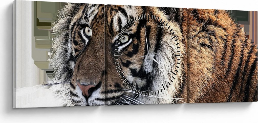 Tablou cu tigrul (cu ceas) (90x30 cm)