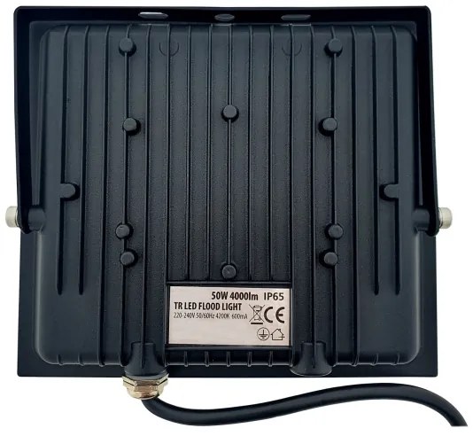 Proiector LED/50W/230V IP65