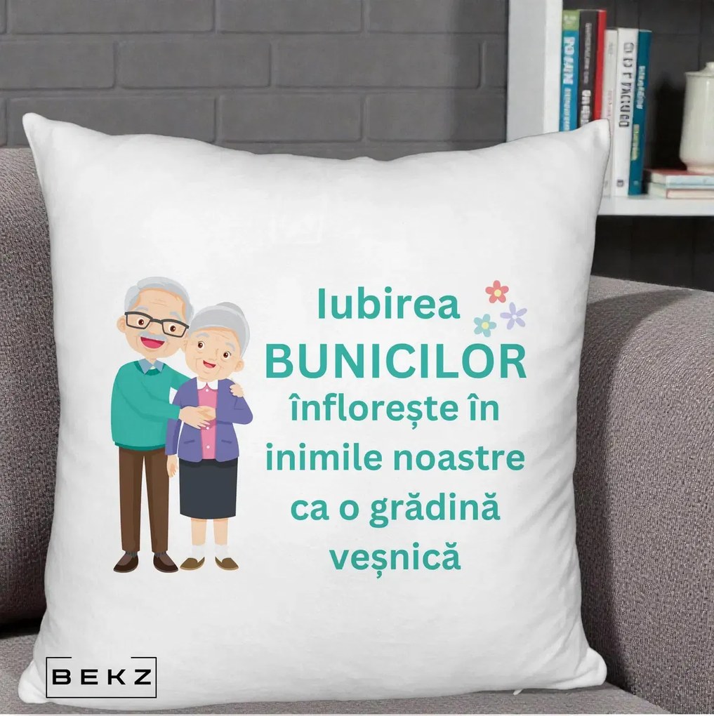 Cadou pentru Bunici - Perna Personalizata Bunicii Iubirea Infloreste Cuplu Senior Teal, 40x40 cm, Alb Pufos, Husa Detasabila, Perna Inclusa, BEKZ®
