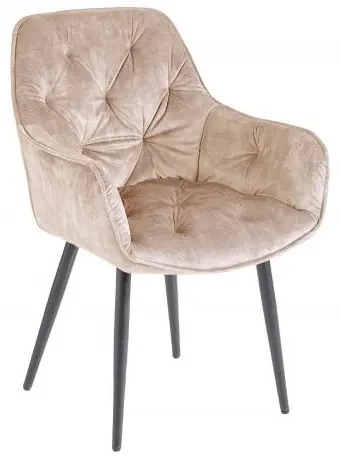 Set 2 scaune moderne Milano catifea sampanie